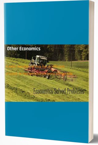 Other Economics