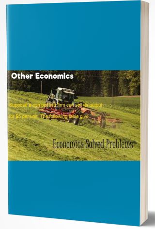 Other Economics