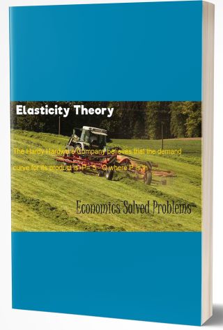 Elasticity Theory