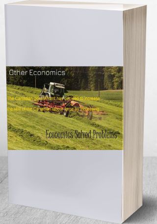 Other Economics