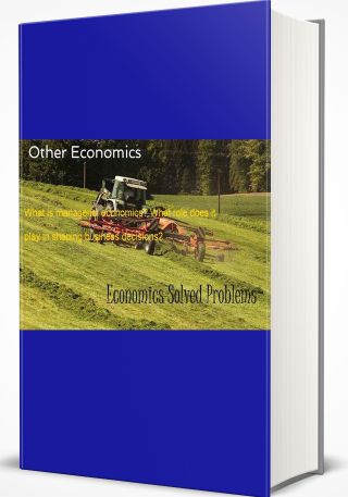 Other Economics