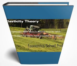 Elasticity Theory