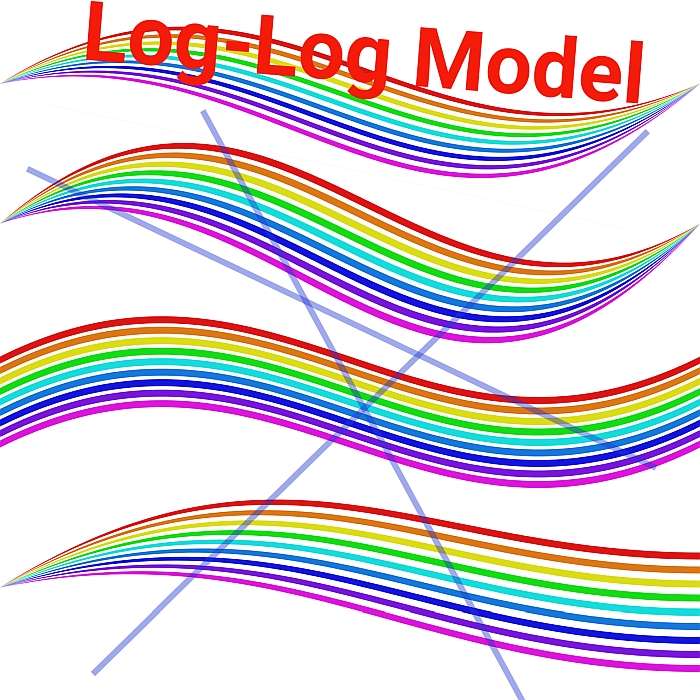 Log Log Model