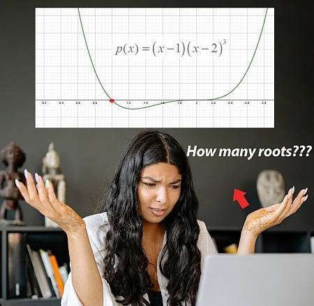 Polynomial Functions