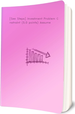 [See Steps] Investment Problem Constraint (5.0 points)