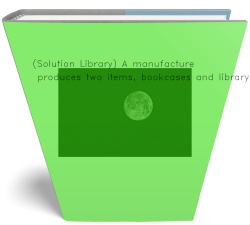(Solution Library) A manufacturer produces two items,