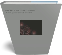 (See) PRO FORMA INCOME STATEMENT. Austin grocery
