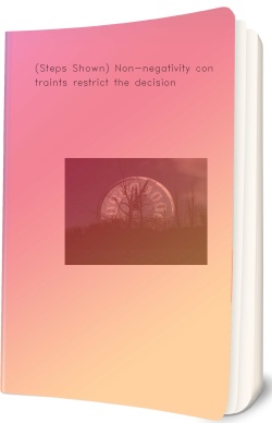 (Steps Shown) Non-negativity constraints restrict the decision