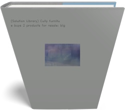 (Solution Library) Cully furniture buys 2 products