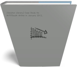 [Solution Library] Case Study North—South Airline In